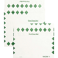 Survivor 10 x 13 x 2 DuPont Tyvek Expansion First Class Border Mailers (QUAR4440)