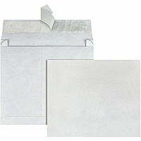 Survivor 10 x 15 x 2 DuPont Tyvek Expansion Mailers with Self-Seal Closure (QUAR4450)