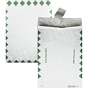 Survivor 10 x 13 x 1-1/2 DuPont Tyvek Expansion First Class Border Envelopes (QUAR4510)