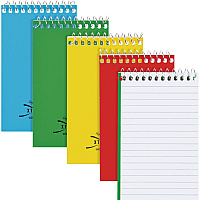 Rediform Wirebound Memo Notebooks (RED31120)