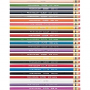 Prismacolor Col-Erase Colored Pencils (20517)