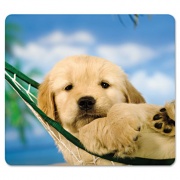 Fellowes Recycled Mouse Pad, 9 x 8, Puppy in Hammock Design (5913901)