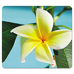 Fellowes Recycled Mouse Pad, 9 x 8, Yellow Flowers Design (5913801)