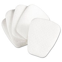 3M Particulate Filters, N95, 10/Box (MMM5N11)
