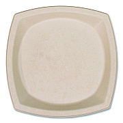 Dart Compostable Fiber Dinnerware, ProPlanet Seal, Plate, 10 x 10, Tan, 500/Carton (DCC10PSC1PF)