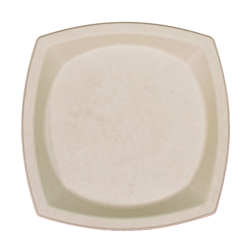 Dart Compostable Fiber Dinnerware, ProPlanet Seal, Plate, 10 x 10, Tan, 125/Pack (DCC10PSC1PFPK)