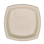 Dart Compostable Fiber Dinnerware, ProPlanet Seal, Plate, 6.7 x 6.7, Tan, 125/Pack (DCC6PSC1PFPK)