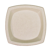 Dart Compostable Fiber Dinnerware, ProPlanet Seal, Plate, 8.25 x 8.25, Tan, 500/Carton (DCC8PSC1PF)