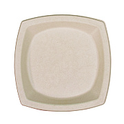 Dart Compostable Fiber Dinnerware, ProPlanet Seal, Plate, 8.25 x 8.25, Tan, 125/Pack (DCC8PSC1PFPK)