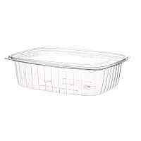 Eco-Products Renewable and Compostable Rectangular Deli Containers, 48 oz, 8 x 6 x 2, Clear, Plastic, 50/Pack, 4 Packs/Carton (ECOEPRC48)