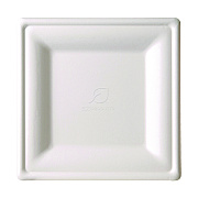 Eco-Products Renewable Square Sugarcane Plates, 10.25 x 10.25, Natural White, 50/Pack, 5 Packs/Carton (ECOEPP023)