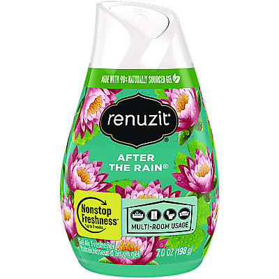 Renuzit Adjustables Air Freshener, After the Rain Scent, 7 oz Solid, 12/Carton (AMY43100CT)