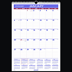 AT-A-GLANCE Erasable Wall Calendar, 12 x 17, White Sheets, 12-Month (Jan to Dec): 2026 (PMLM0228)