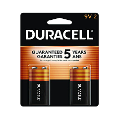 Duracell CopperTop Alkaline 9V Batteries, 2/Pack (DURMN1604B2Z)