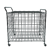 Champion Sports Portable Lockable Ball Locker, Metal, 176 lb Capacity, 24 x 39 x 40, Chrome (CSIBLX)