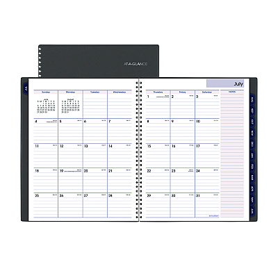 AT-A-GLANCE DayMinder Academic Weekly/Monthly Desktop Planner, 11 x 8.5, Charcoal Cover, 12-Month (July to June): 2025 to 2026 (AYC52045)