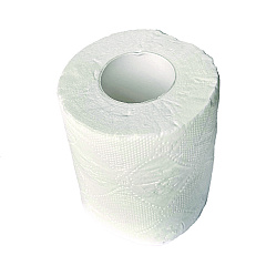 GEN Bath Tissue, Wrapped, Septic Safe, 2-Ply, White, 300 Sheets/Roll, 96 Rolls/Carton (GEN999B)