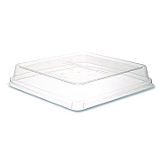 Eco-Products Renewable and Compostable Lids, 8.8 x 8.8 x 1.64, Clear, Plastic, 200/Carton (ECOEPSCS9SLID)