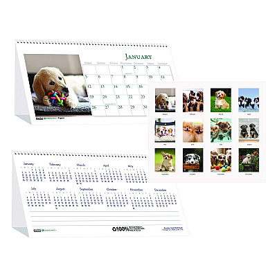 House of Doolittle Earthscapes Recycled Desk Tent Monthly Calendar, Puppies Photography, 8.5 x 4.5, White Sheets, 12-Month (Jan to Dec): 2026 (3659)