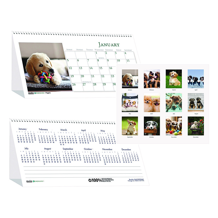 House of Doolittle Earthscapes Recycled Desk Tent Monthly Calendar, Puppies Photography, 8.5 x 4.5, White Sheets, 12-Month (Jan to Dec): 2026 (3659)