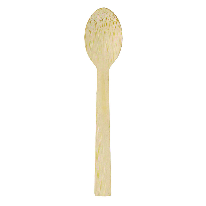 Dixie Bamboo Cutlery, Spoon, Light Golden, 100/Pack, 10 Packs/Carton (DXEANSBAM)