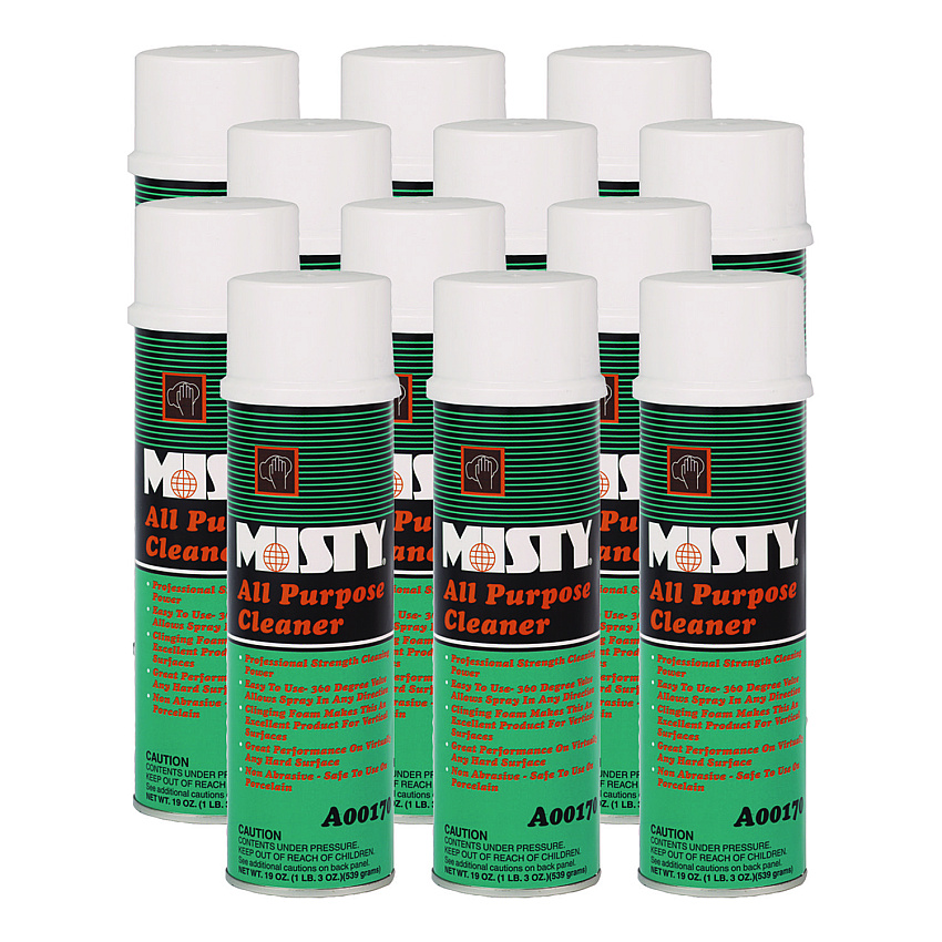 Misty All-Purpose Cleaner, Mint Scent, 19 oz Aerosol Spray, 12/Carton (AMR1001592)