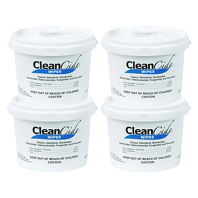 Wexford Labs CleanCide Disinfecting Wipes, 1-Ply, 8 x 5.5, Fresh Scent, White, 400/Tub, 4 Tubs/Carton (WXF3130B400DCT)