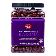 Wellsley Farms Milk Chocolate Covered Raisins, 50 oz Jar (GRR22002345)