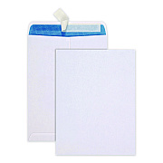 Quality Park Redi-Strip Security Tinted Envelope, Antimicrobial, #10 1/2, Cheese Blade Flap, Redi-Strip Closure, 9 x 12, White, 100/Box (41415)