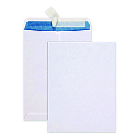 Quality Park Redi-Strip Security Tinted Envelope, Antimicrobial, #10 1/2, Cheese Blade Flap, Redi-Strip Closure, 9 x 12, White, 100/Box (41415)