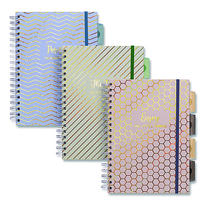 PUKKA PAD B5 Size Project Book, 5-Subject, Medium/College Rule, Assorted Haze Cover Colors, (100) 9.8 x 6.9 Sheets, 3/Pack (9975ASTHZE)