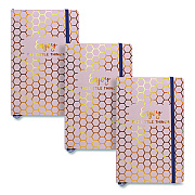 PUKKA PAD Journal, 1-Subject, Medium/College Rule, Taupe Haze/Gold Cover, (96) 8.3 x 5.8 Sheets, 3/Pack (9977TEHZE)