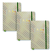 PUKKA PAD Journal, 1-Subject, Medium/College Rule, Green Haze Cover, (96) 8.3 x 5.8 Sheets, 3/Pack (9977GNHZE)
