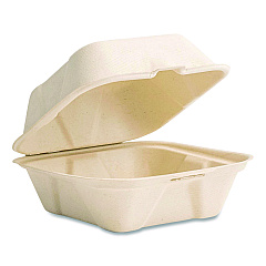Vegware Nourish Molded Fiber Takeout Containers, Compostable, 5.9 x 5.9 x 2.9, White, Sugarcane, 400/Carton (VWHC6NFA)