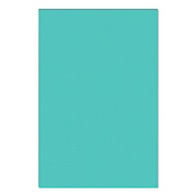 Pacon Spectra Art Tissue, 23 lb Tissue Weight, 20 x 30, 24/Pack (P0059392)