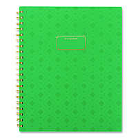 AT-A-GLANCE Badge Geo Weekly/Monthly Planner, 11 x 8.5, Green Cover, 13-Month (Jan-Jan): 2026 (1753G905)