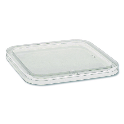 Pactiv Evergreen EarthChoice Recycled PET Container Lid, for 6" Square RPET Containers, 6.25 x 0.39 x 6.25, Clear, Plastic, 360/Carton (6SFLY)