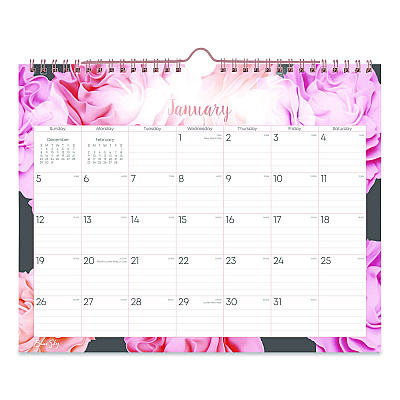 Blue Sky Joselyn Monthly Wall Calendar, Floral Artwork, 11 x 8.75, White/Multicolor Sheets, 12-Month (Jan to Dec): 2026 (147480)