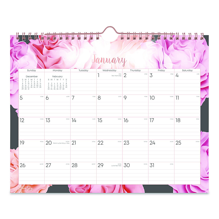 Blue Sky Joselyn Monthly Wall Calendar, Floral Artwork, 11 x 8.75, White/Multicolor Sheets, 12-Month (Jan to Dec): 2026 (147480)