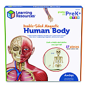 Learning Resources Double-Sided Magnetic Human Body, Grades K to 5, English/Spanish, Assorted Colors, 17 Pieces (LER6044)