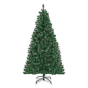 National Tree Company Pre-Lit Acacia Tree, 37" x 37" x 70.8", Green Tree, Green Tree Stand (AC10030860)