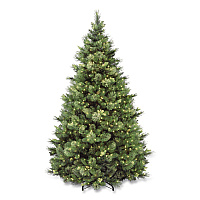 National Tree Company Pre-Lit Carolina Pine Tree, 58" x 58" x 84", Green Tree, Green Tree Stand (CAP330670)