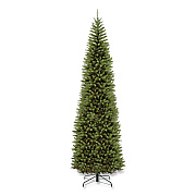 National Tree Company Kingswood Fir Pencil Tree, 54" x 54" x 168", Green Tree, Green Tree Stand (KW7500140)