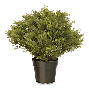 National Tree Company Globe Juniper Topiary Tree, 20" x 28" x 20", Green Tree, Green Pot (LCB828)