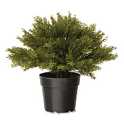 National Tree Company Artificial Globe Juniper, 15" x 15" x 15", Green Plant, Green Pot (LCB4151)