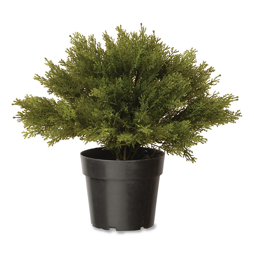 National Tree Company Artificial Globe Juniper, 15" x 15" x 15", Green Plant, Green Pot (LCB4151)
