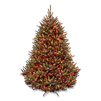 National Tree Company Pre-Lit Natural Fraser Fir Tree, 60" x 60" x 90", Green Tree, Green Tree Stand (NAFFMH175RLO)