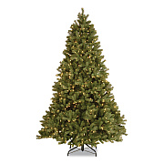 National Tree Company Pre-Lit Downswept Douglas Fir Tree, 49" x 49" x 78", Green Tree, Green Tree Stand (PEDD131265)