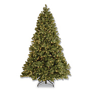 National Tree Company Pre-Lit Downswept Douglas Fir Tree, 59" x 59" x 90", Green Tree, Green Tree Stand (PEDD131275)