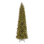 National Tree Company Pre-Lit Downswept Douglas Fir Pencil Slim Tree, 35" x 35" x 108", Green Tree, Green Tree Stand (PEDD439290)